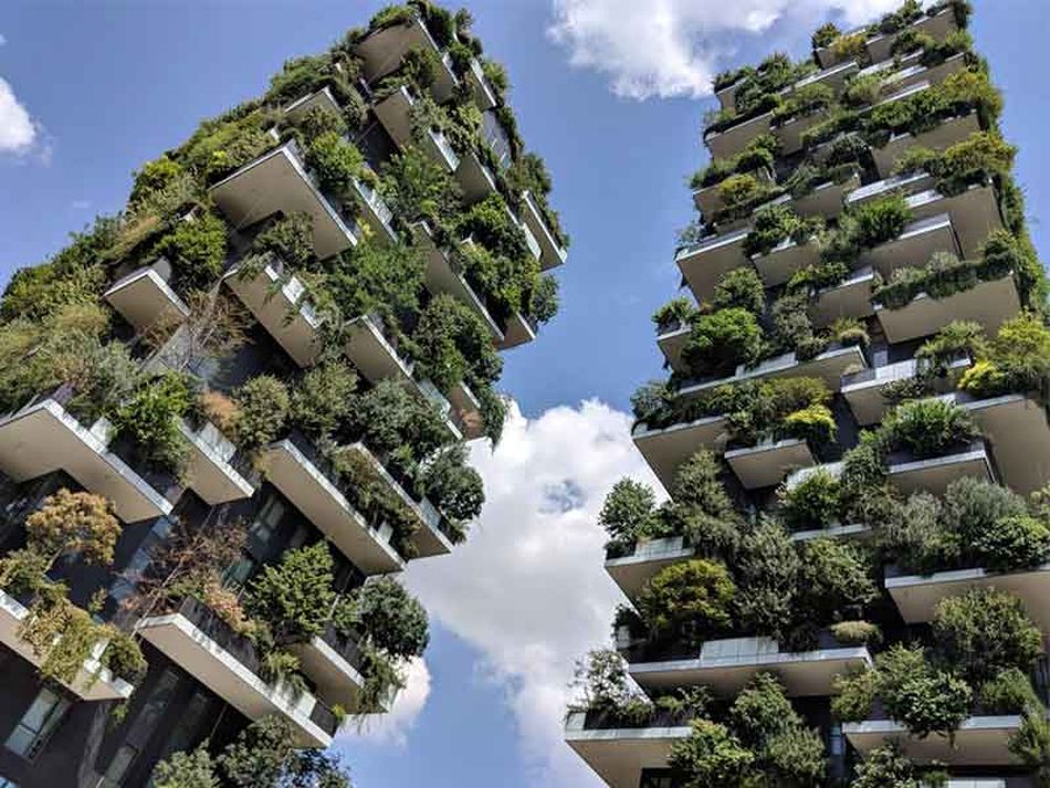 Zöld város vertikális kert