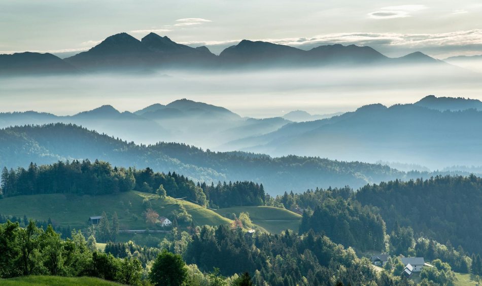 A CSDDD túllép az ESG irányelveken és a beszállítói láncot is "zöldíti" - illusztráció - fotó: Pexels