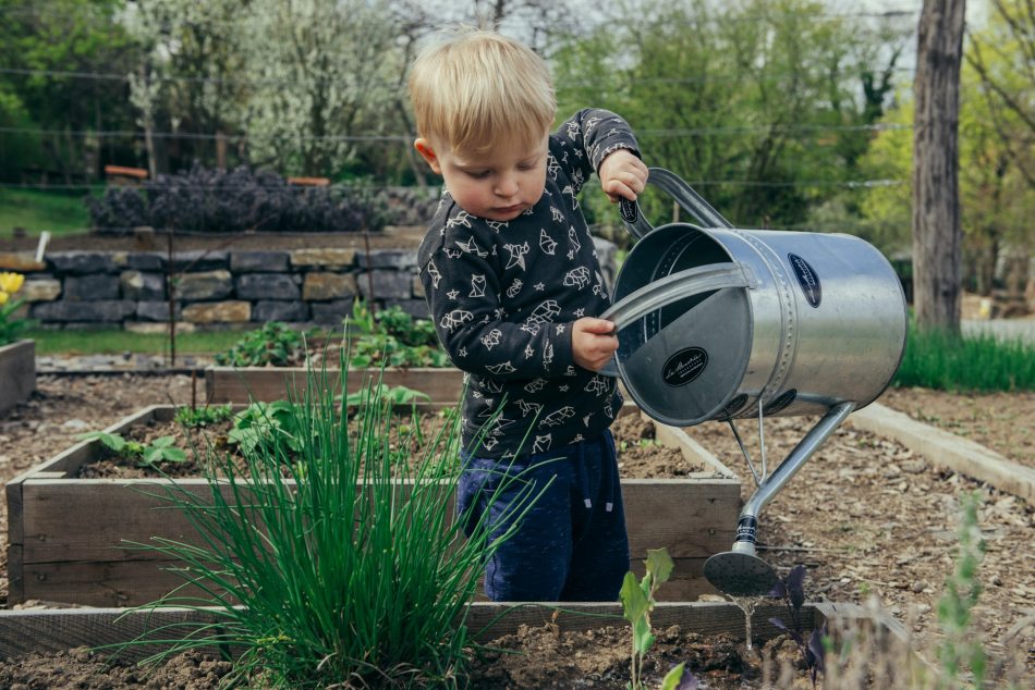 Kertészkedjen Ön is, remek családi program is lehet - fotó: Unsplash