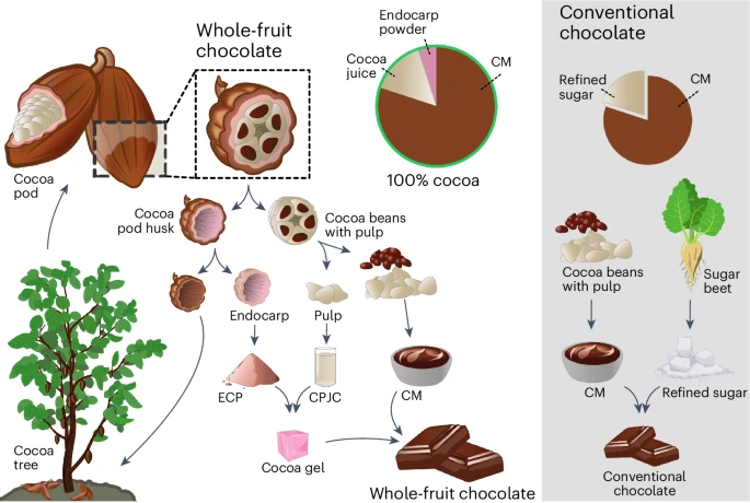 A kakaós-gyümölcsös csokoládé és a hagyományos csokoládé gyártási eljárása. Ábra: Nature Food