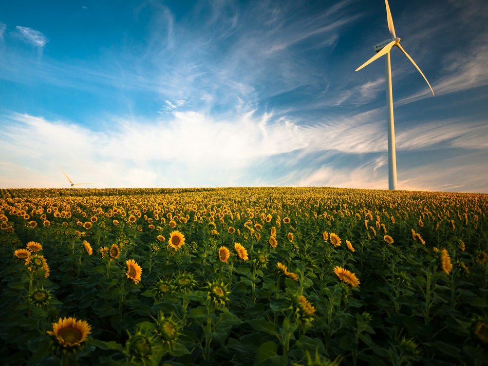 Fenntartható energia - fotó: Unsplash