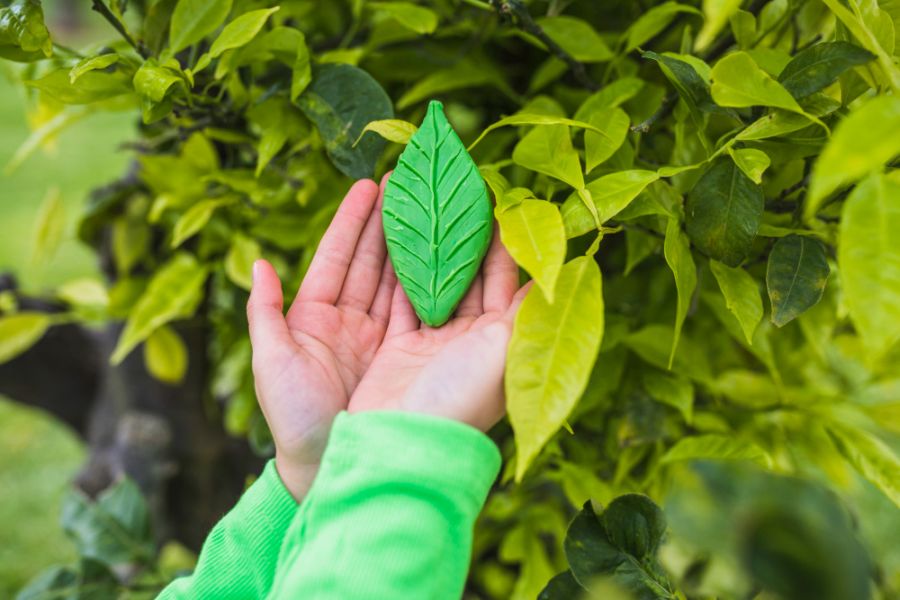 Humusz Szövetség - a kép illusztráció - fotó: Freepik