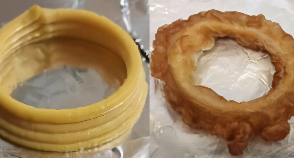 A vegán tintahal öt százalékkal több fehérjét tartalmaz, mint a valódi.Fotó:: ACS Food Science & Technology (2025)