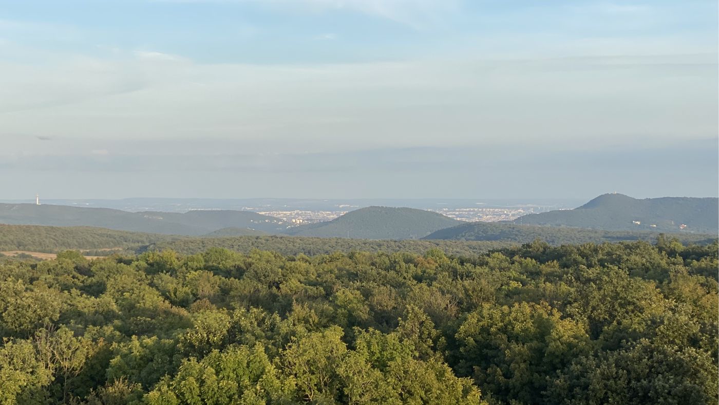 Kilátó