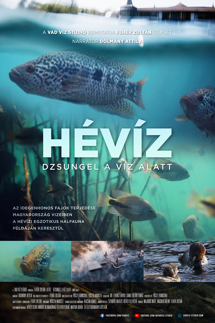 Planet Lens Hévíz