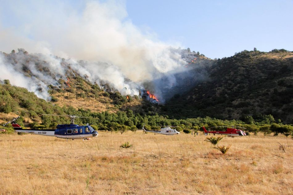 A hőhullám miatt több helyen bozóttűz pusztít. A kép illusztráció - Pixabay