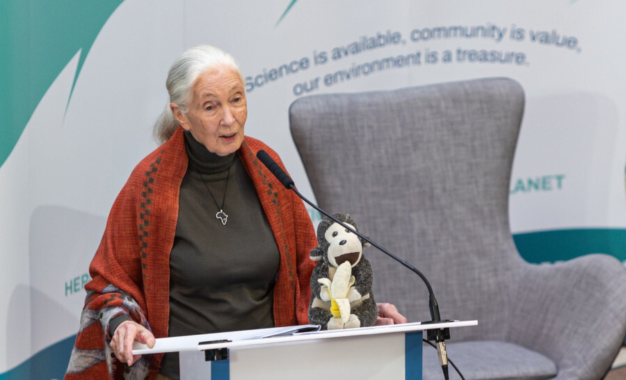 Jane Goodall