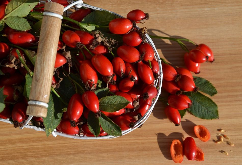 A csipkebogyó minden része felhasználható. Fotó: Pixabay