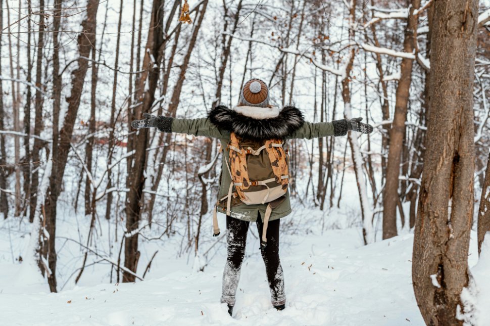 Februári túra, séta - erdő - Freepik