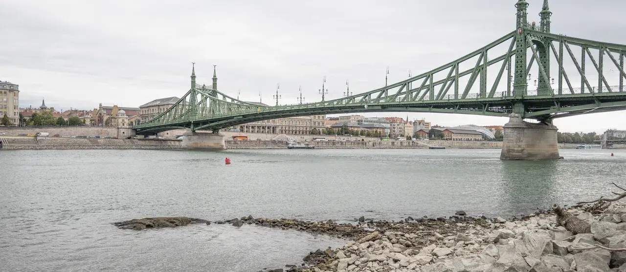 A Duna alacsony vízállása mellett az Inség-szikla is soszor kilátszik. Fotó: Bartha Dorka/Énbudapestem