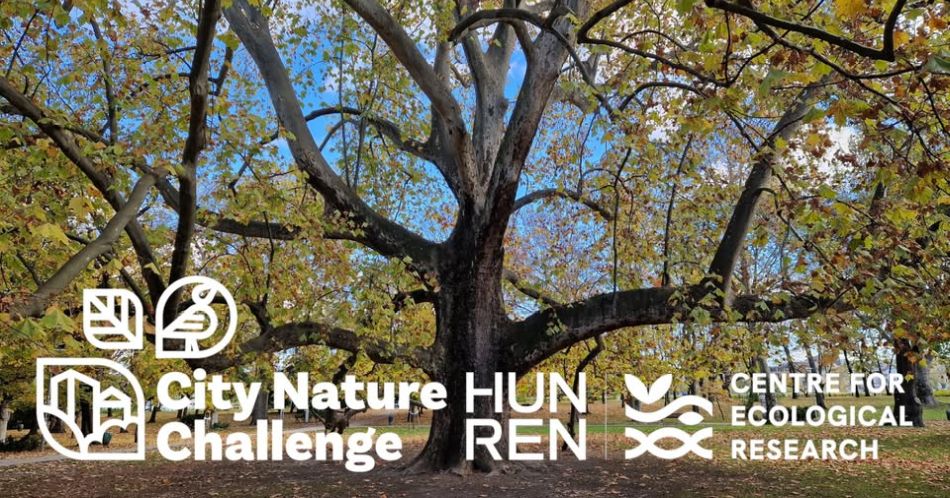City Nature Challenge