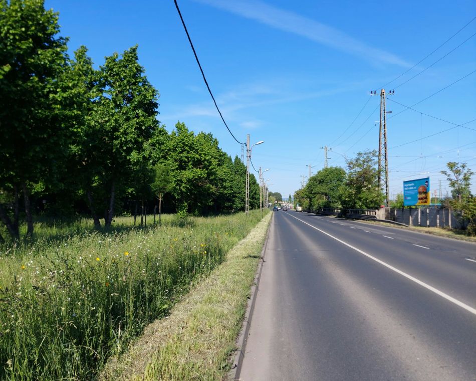 Ilyen a kontúrkaszálás. Fotó: FŐKERT vadvirágos