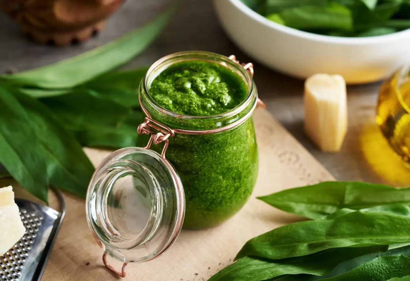Medvehagyma pesto Fotó: Nosalty 