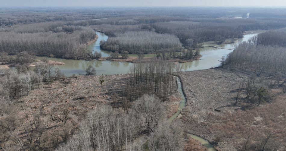 Fakitermelés a védett természeti területen. Fotó: Szendőfi Balázs