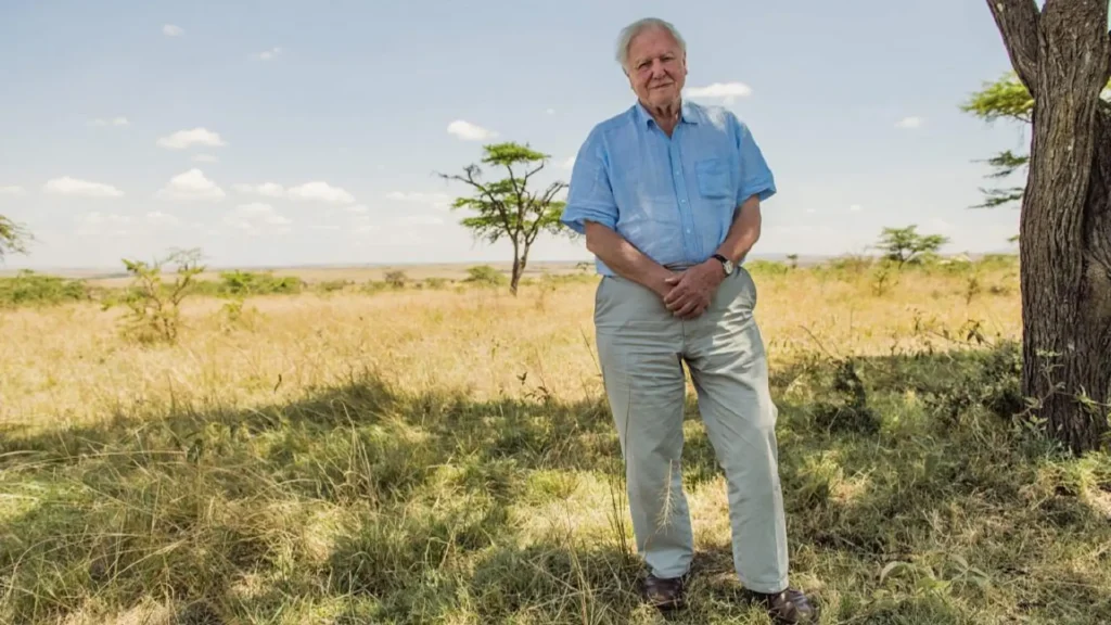 David Attenborough