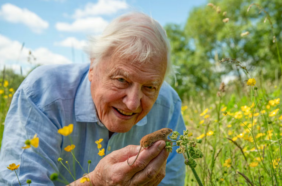 A kíváncsiság tart életben - mondta Attenborough a 100, születésnapján. Fotó: BBC/Passion Planet/Joe Loncraine