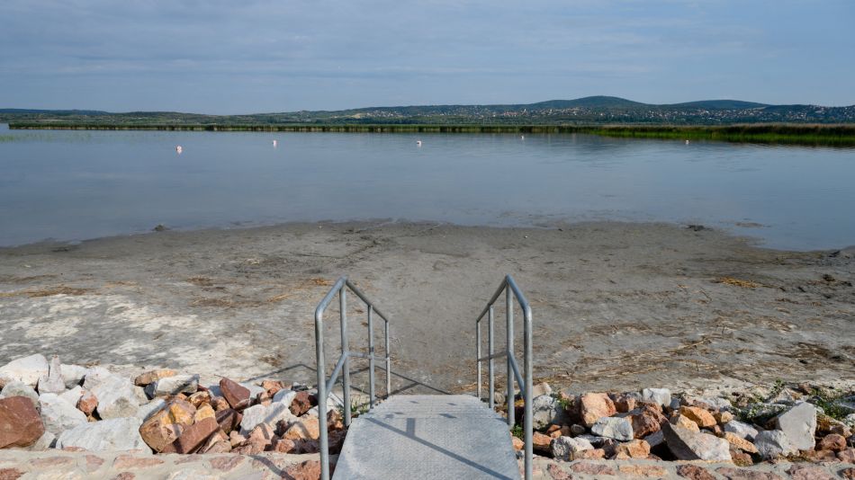 A Velencei-tó általában nyár végére szokott így kinézni. Fotó: MTI