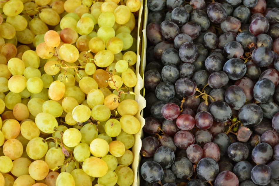 A sötét héjú szőlőben több az antioxidáns. Fotó: Pixabay