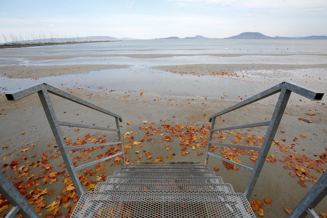 Balaton